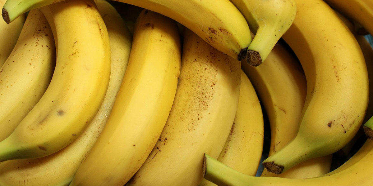 L'acaro della ruggine affossa l’export di banane della Repubblica Dominicana